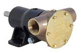Pompa in bronzo 10550-200 - marinepart.eu